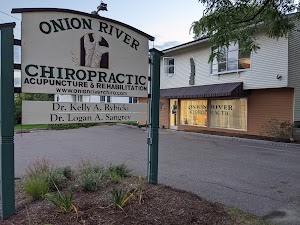 Onion River Chiropractic place picture